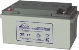 Leoch LPG 12-60